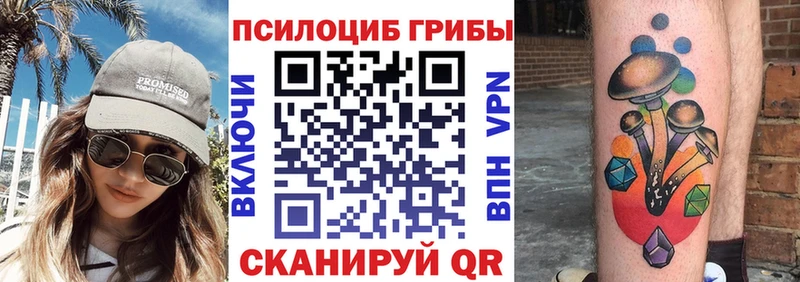 дарнет шоп  Верхняя Тура  Галлюциногенные грибы мицелий 